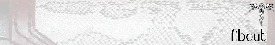 About Dragon Leatherworks